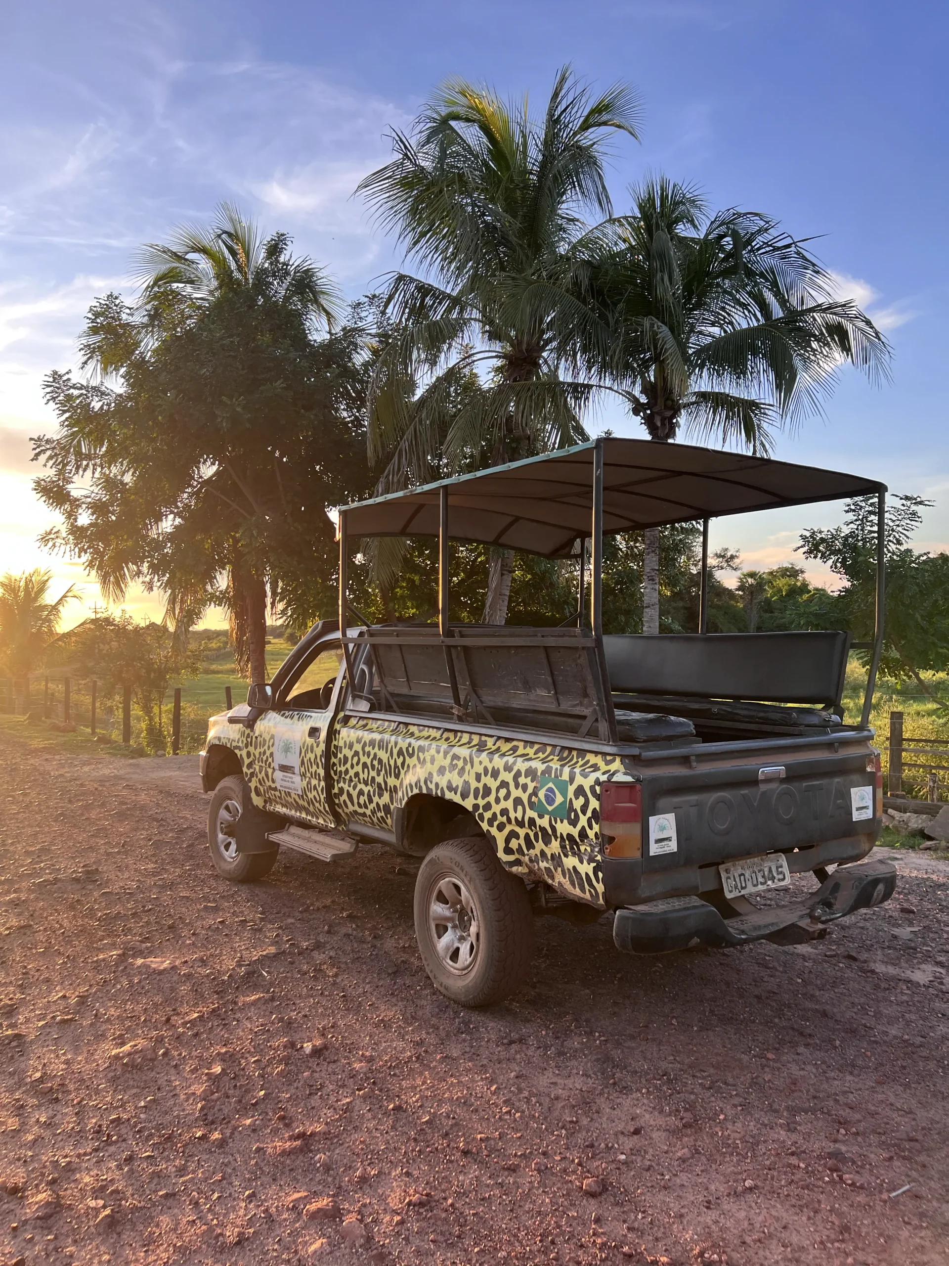 Safari Pantanal